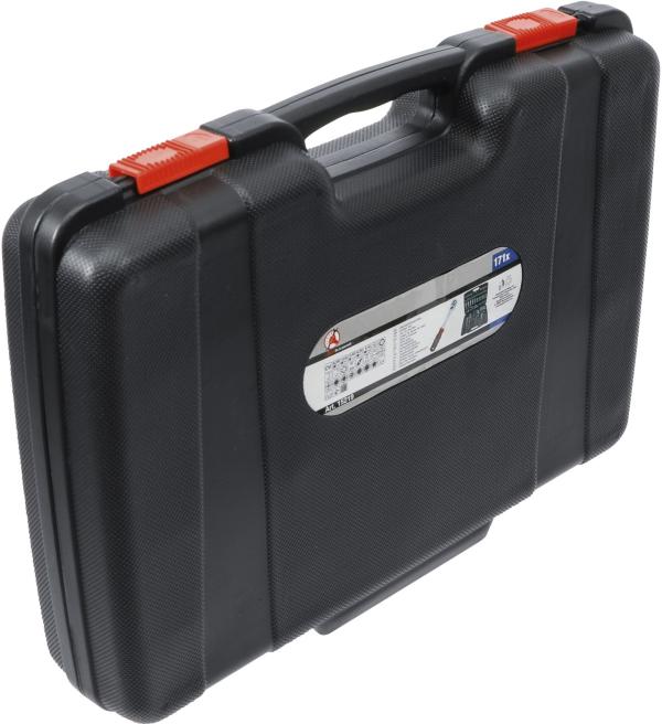 Steckschlüssel-Satz | Antrieb 6,3 mm (1/4") / 10 mm (3/8") / 12,5 mm (1/2") | 172-tlg.
