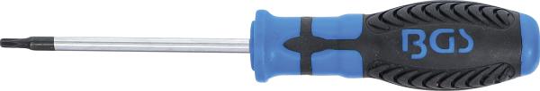 Schraubendreher | T-Profil (für Torx) T15 | Klingenlänge 80 mm
