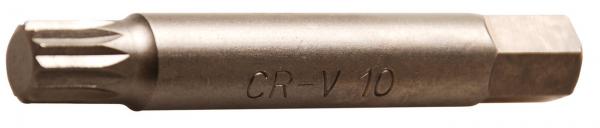 Bit, lang | Antrieb Außensechskant 10 mm (3/8") | Innenvielzahn (für XZN) M10
