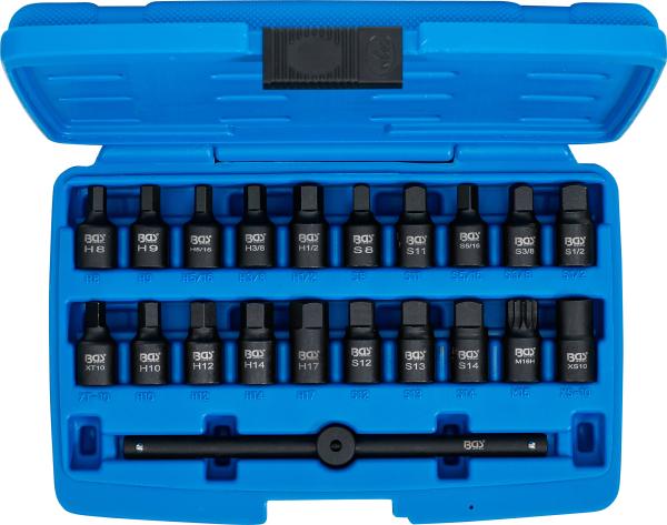 Ölwannen-Spezial-Einsatz-Satz | Antrieb Innenvierkant 10 mm (3/8") | 21-tlg.